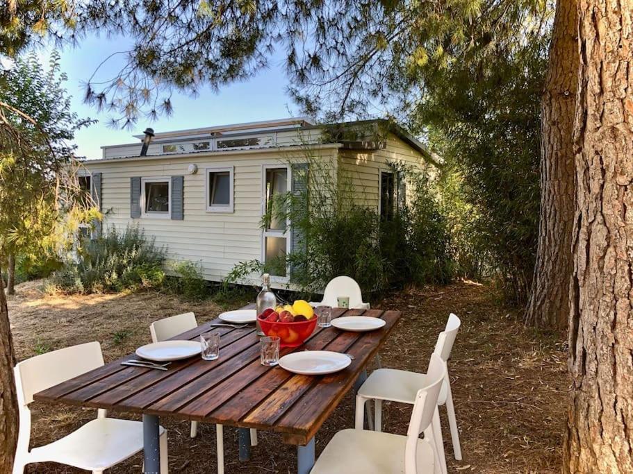 Eco Tiny Home & Office For Digital Nomads Vallmoll Exterior foto